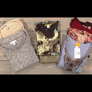 7 Pc Bundle Sz M Chico’s Travelers Coldwater Creek